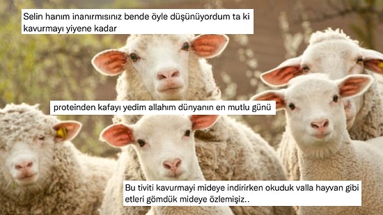 Kurban Bayramı İçin "Katliam Günü Başladı" Diyen Kullanıcıya Gelen Cevaplar!