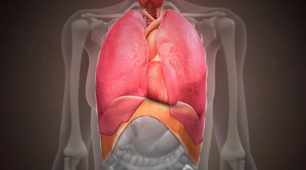 4. Что чаще всего происходит, когда случается раздражение диафрагмы?