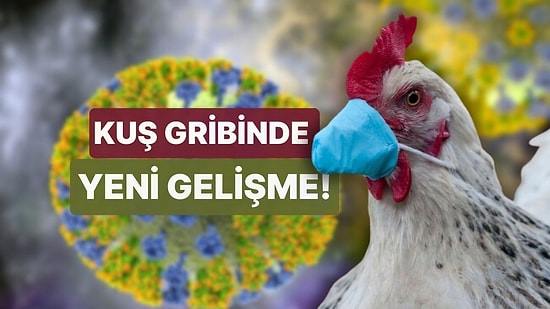 Kuş Gribinde Yeni Gelişme: Bilim İnsanları İnsanları, Hastalığın Bulaşmasını Engelleyen Geni Buldu