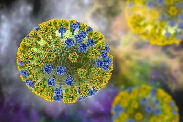 Bir virüsün pandemi potansiyeline sahip olduğu anlaşılabilir