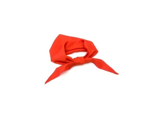 9. В СССР опознавательным знаком дежурных были красные повязки. Куда их повязывали?