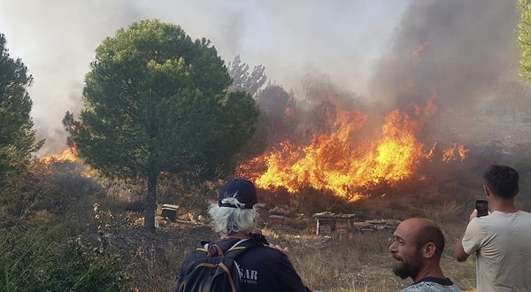 Datça Mahallesi'nin Kargı mevkisinde bulunan otluk ve makilik alanda yangın çıktı. Ekipleri harekete geçiren yangına, hava ve kara araçları ile çok sayıda yangın söndürme işçisi tarafından müdahale edildi.