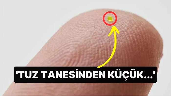 'Tuz Tanesinden Küçük...' Mikroskobik El Çantası 64 Bin Dolara Satıldı!