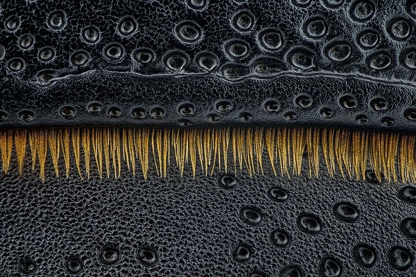 30. Финалист категории «Искусство природы» — «Переход» Торбена Данке