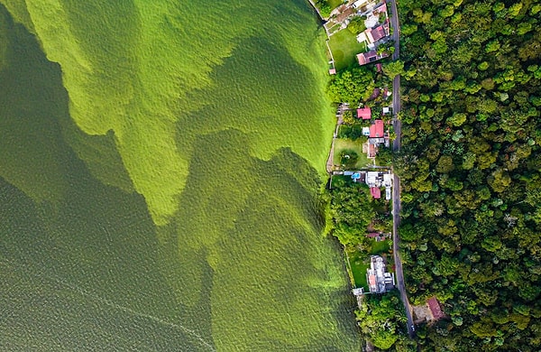 31. Финалист категории «Человек/Природа» — «Озеро боли» Даниэля Нуньеса