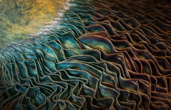 32. Победитель категории «Искусство природы» — «Поле грез» Дж. Фрица Румпфа