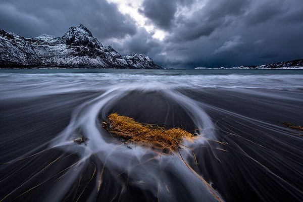 38. Финалист категории «Пейзажи, водные пейзажи и флора» — «Смытые» Аудуна Рикардсена