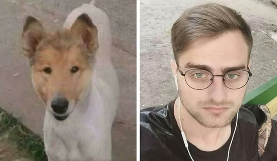 29 двойников звезд, явно заказанных на одном красном китайской сайте