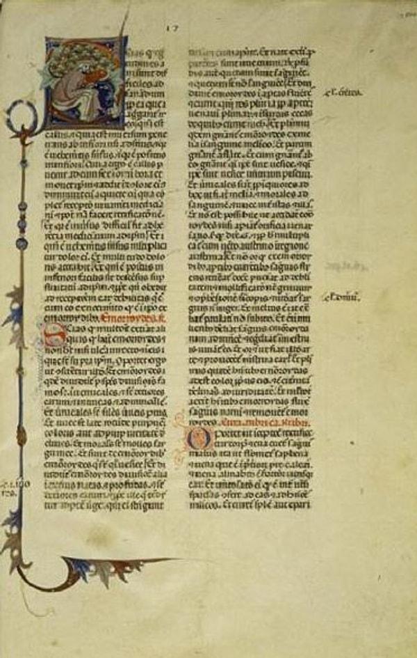 Tıp Kanunları kitabının Latince çevirisinin ilk sayfası