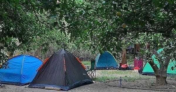2. Tavuskuşu Camping & Karavan