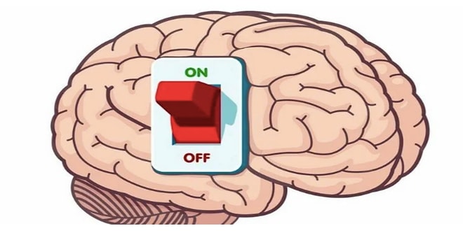 Тест: Ответьте всего на 10 вопросов,  чтобы определить, достаточно ли вы образованны
