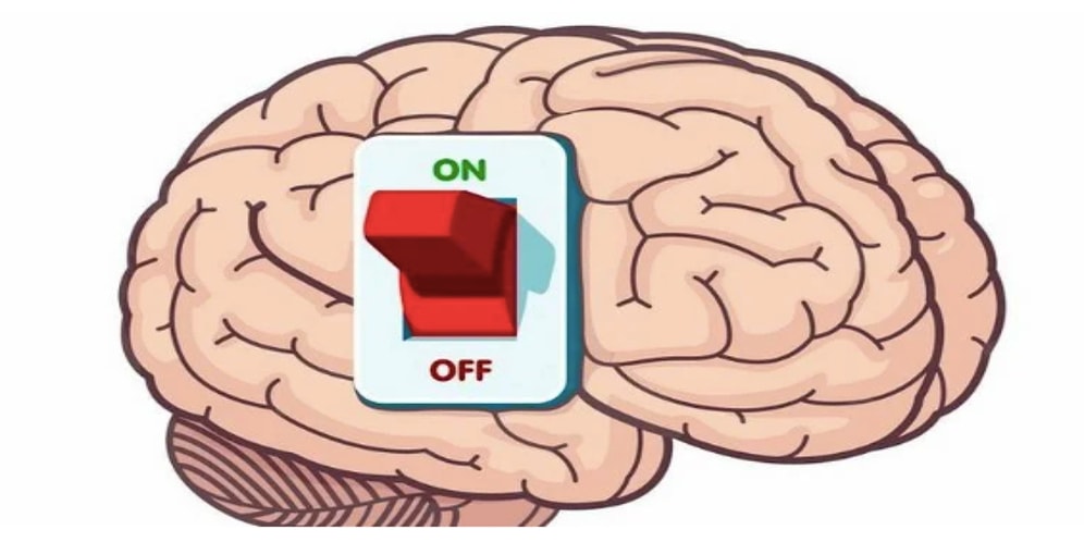 Тест: Ответьте всего на 10 вопросов,  чтобы определить, достаточно ли вы образованны