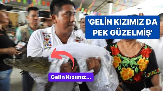 Meksikalı Belediye Başkanı Timsahla Evlendi, Gelinlik Giydirdi, Dans Etti