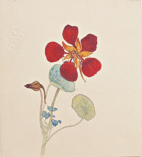 Sanatçının soyutlama yolculuğu, organik büyümeyi temsil eden kabuklar ve çiçekler gibi unsurları da içeriyordu.