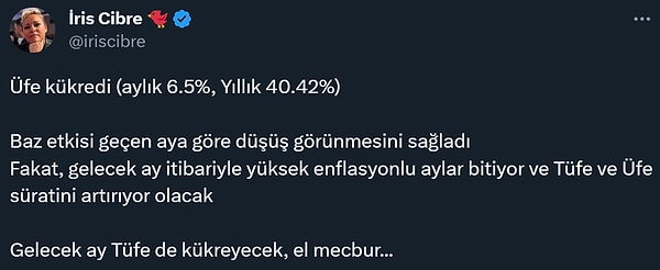 ÜFE ile TÜFE tartışması da yeniden alevleniyordu.