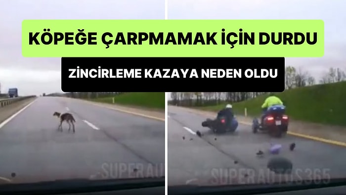 Yola Çıkan Köpeğe Çarpmamak İçin Duran Şoför Trafiği Birbirine Kattı