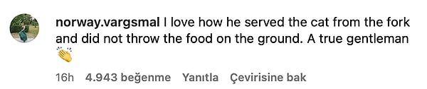 2. "Yemeği direkt yere atmayıp kediye çatalla servis etmesine bayıldım. Gerçek bir centilmen 👏"