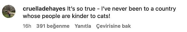 3. "Çok doğru! Daha önce hiç insanları kedilere karşı bu kadar nazik olan bir ülkede bulunmadım!"