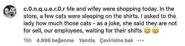 4. "Bugün karımla beraber alışveriş yaparken mağaza tişörtlerin üzerinde uyuyan birkaç kedi gördük."