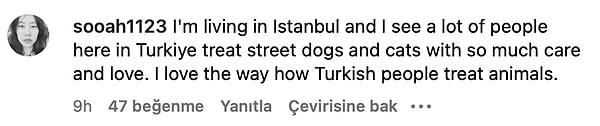 6. "İstanbul'da yaşıyorum ve Türkiye'de birçok insanın sokak köpeklerine ve kedilere ne kadar ilgi ve sevgi ile yaklaştıklarını görüyorum."