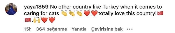 10. "Söz konusu kedilere bakmak olduğunda Türkiye gibi başka bir ülke tanımam 👏❤️ Bu ülkeyi çok seviyorum! 🇹🇷"