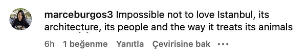 13. "İstanbul'u, mimarisini, insanını ve hayvanlarına davranış şeklini sevmemek mümkün değil."