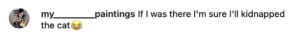 14. "Orada olsaydım eminim o kediyi kaçırırdım 😂"