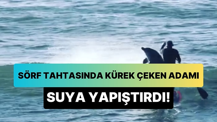 Sörf Tahtası Üzerinde Kürek Çeken Adamı Tek Hamlede Suya Yapıştıran Yunus