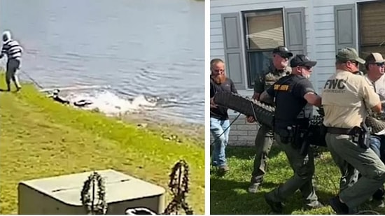 ABD'de Bir Kadın Timsah Saldırısında Hayatını Kaybetti