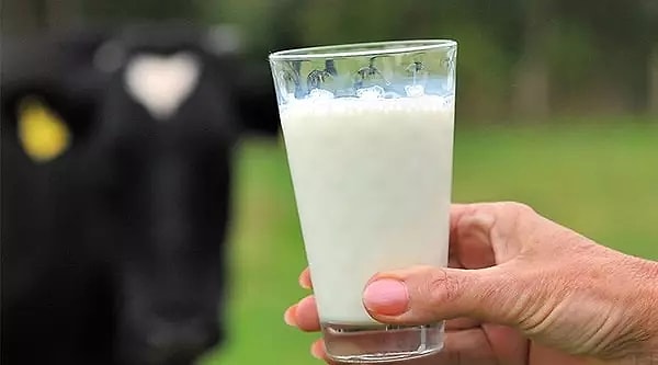 Laktoz, sütte doğal olarak bulunan bir karbonhidrattır.