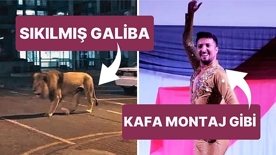 Zelenski 4 Temmuz'da Dans Etti mi, Paris Sokaklarında Aslanlar mı Dolaşıyor? Son Günlerde Tartışılan 7 İddia