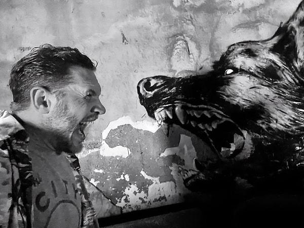 11. Tom Hardy, Venom 3 çekimlerinin başladığını duyurdu.
