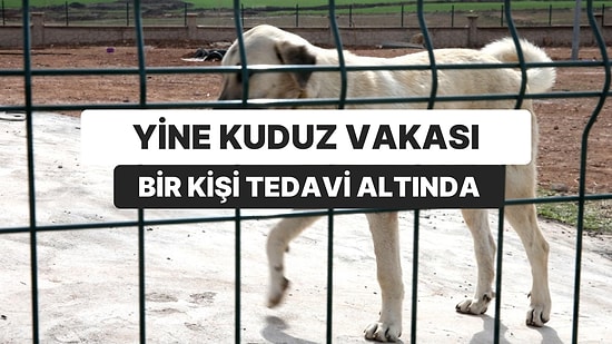 Yine Kuduz Vakası: Şanlıurfa’da Bir Kişi Tedavi Altında