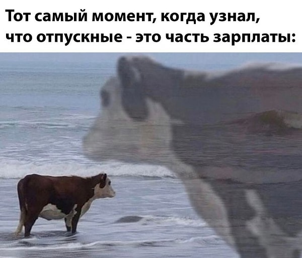 1. Тот самый момент...