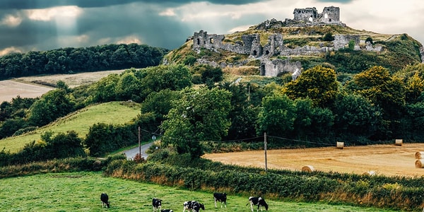 6. В какой стране находится графство Лаойс?