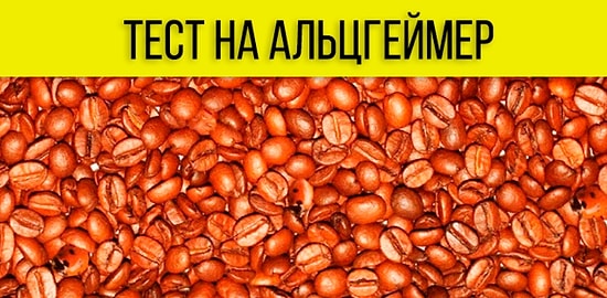 Тест на болезнь Альцгеймера: Найдите на картинке божью коровку