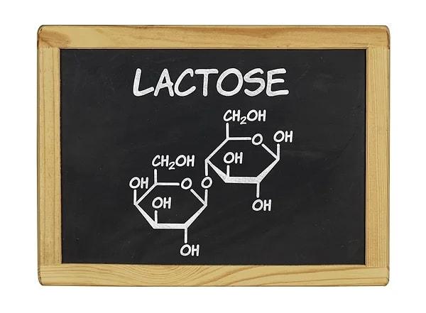 Laktoz İntoleransının Sınıflandırması