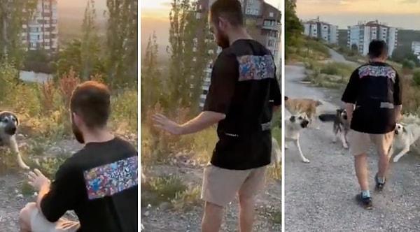 Sosyal medyada hayvanlarla birlikte çektiği videolar ile bilinen Harun Köybaşı, sokak köpekleri karşısında ne yapmanız gerektiğini bir video ile anlattı.