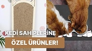 Tüm Kedi Sahiplerine Çağrı: İşte Etkileyici Sonuçlara Sahip 18 Ürün