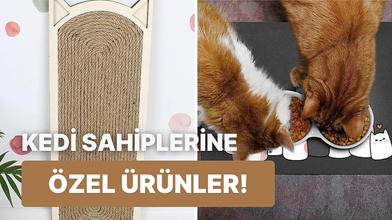 Tüm Kedi Sahiplerine Çağrı: İşte Etkileyici Sonuçlara Sahip 18 Ürün