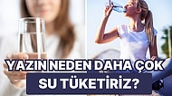 Yaz Aylarında Daha Fazla Su İçmenin Faydalarını Öğrenince Koşarak Su İçmek İsteyeceksiniz!