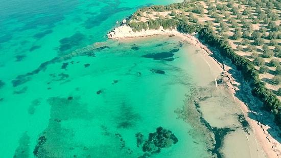 Coastal Gems: 10 Stunning Beaches and Bays in İzmir for a Refreshing Swim
