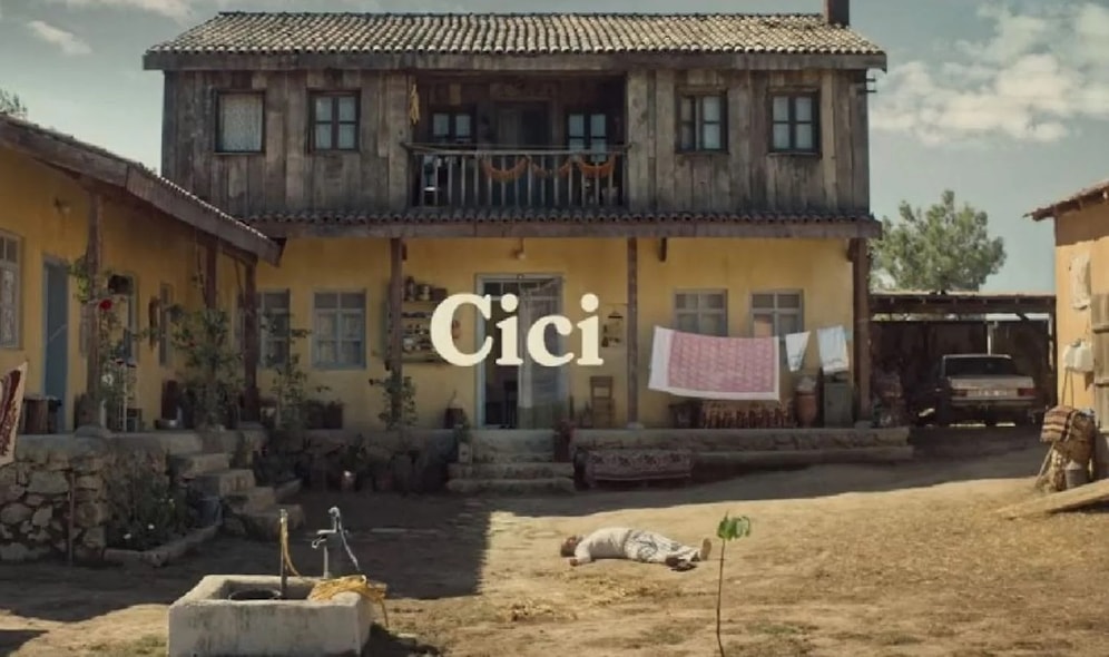 "Cici": A Captivating Tale of Family, Loss, and Rediscovery