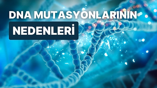 DNA’nın Kendiliğinden Parçalanıp Genetik Mutasyonlar Oluşturmasına Neden Olan Şey Nedir?