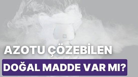 Azotu Çözebilen Herhangi Bir Doğal Süreç Var mı?