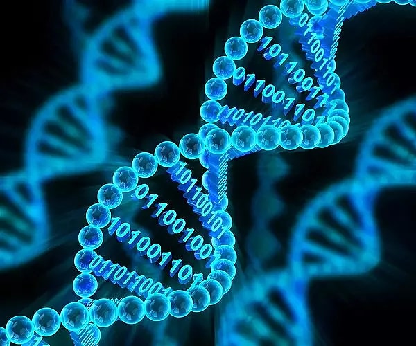 DNA dizileme teknolojileri, insan DNA'sının genetik dizilimini belirlemek için kullanılan güçlü araçlardır.