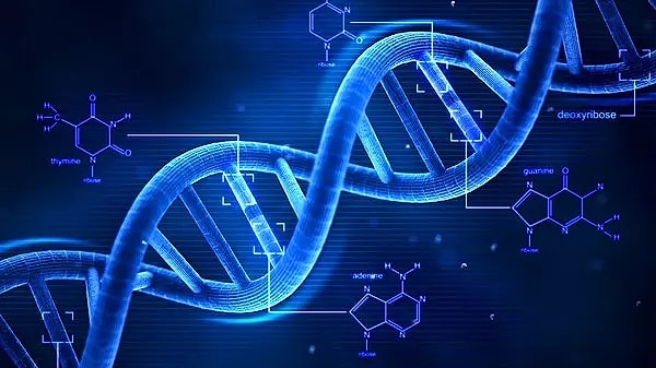Ancak, insan DNA'sındaki sırları tamamen keşfetmek için daha fazla araştırma ve teknolojik gelişme gerekmektedir.