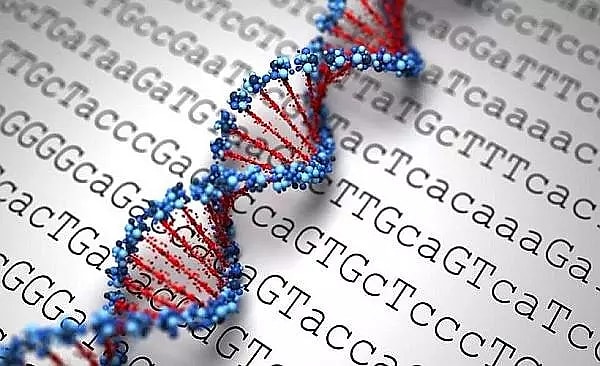 İnsan DNA'sındaki sırları tamamen ortaya çıkarmak, henüz mümkün değildir.