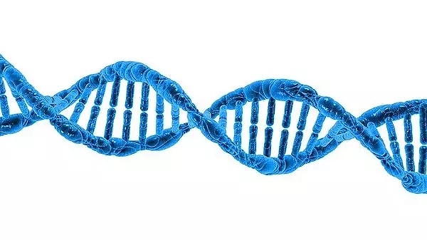 Yine de genetik araştırmalar ve DNA dizileme teknolojileri sürekli olarak ilerlemekte ve yeni bilgiler ortaya çıkmaktadır.