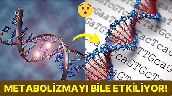 Canlıların En Önemli Yapı Taşlarından Biri Olan DNA'nın Sırları Ortaya Çıkarılabilir mi?